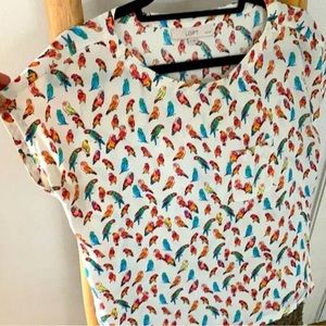 Ann Taylor loft parrot shirt